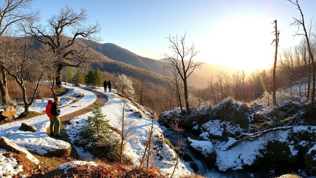 frozen waterfalls brasstown bald