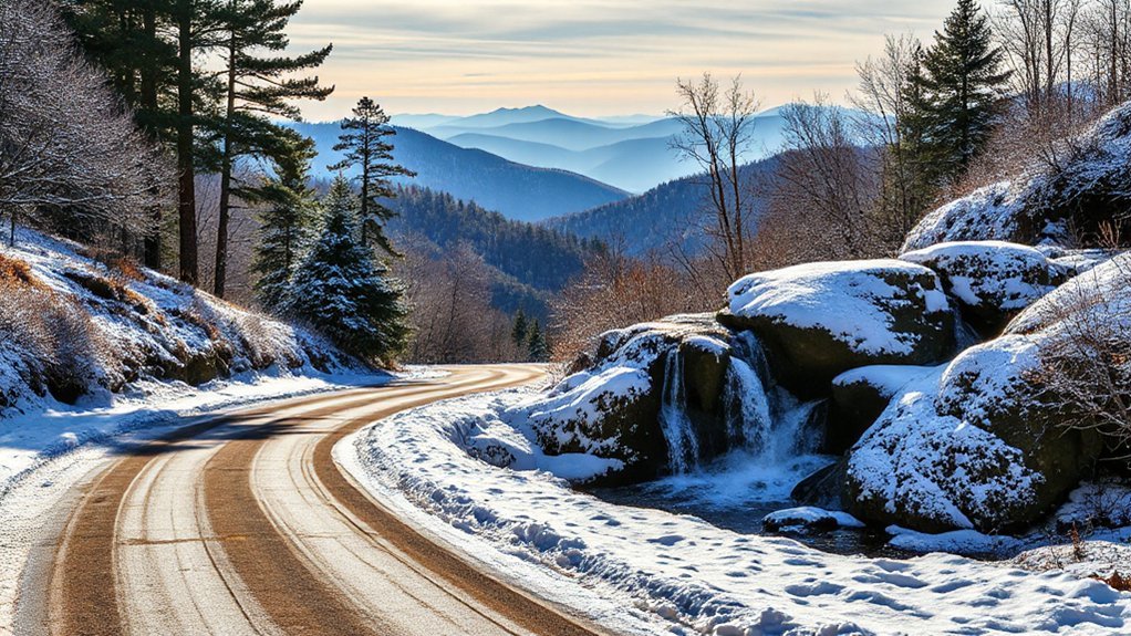 north georgia winter photography